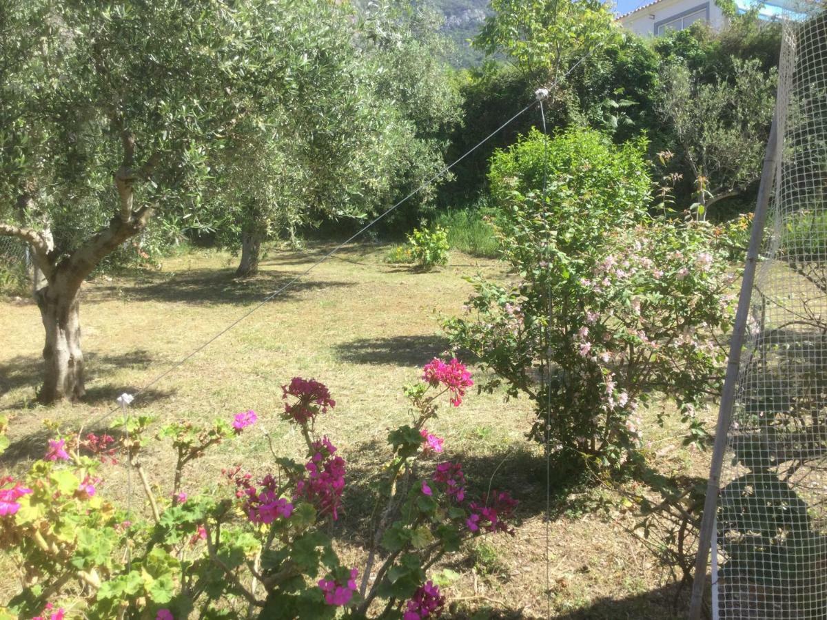 The Cabin, Kyparissia Exteriör bild