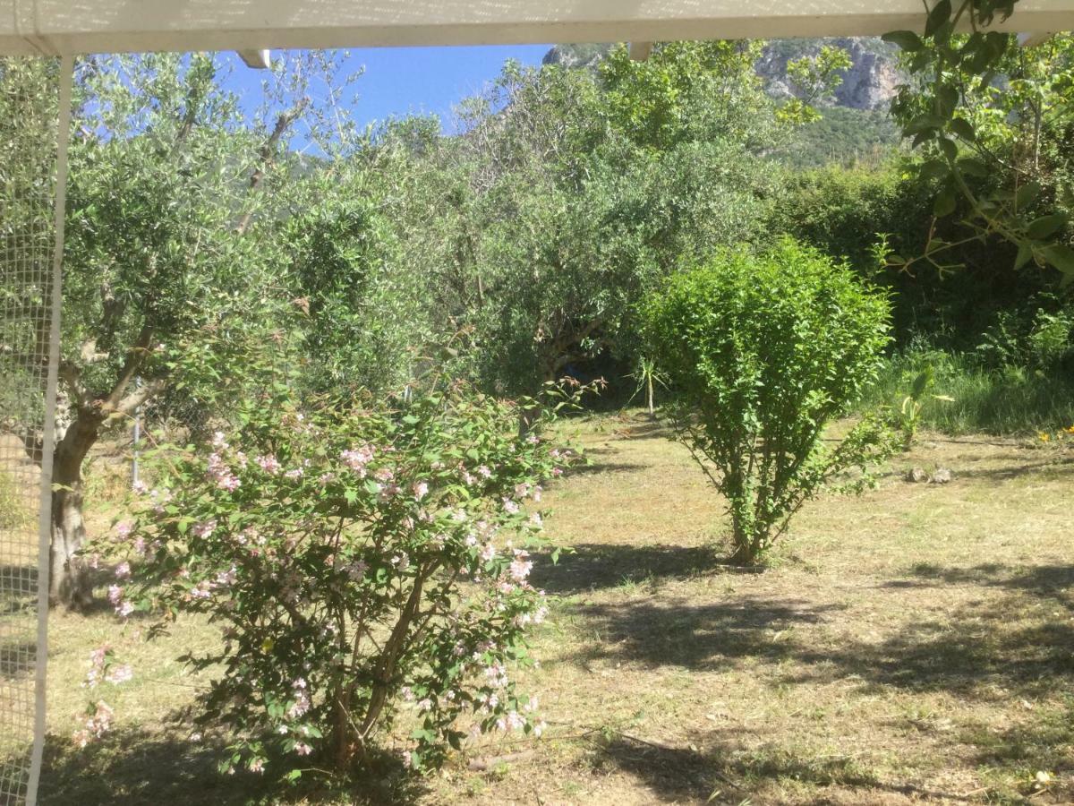 The Cabin, Kyparissia Exteriör bild